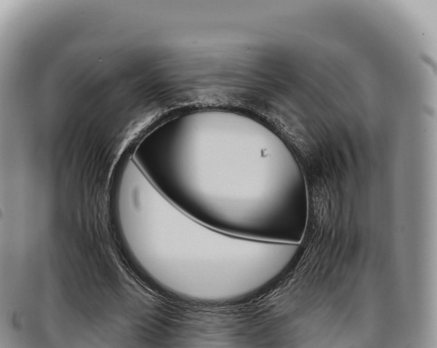 X0000097300488200802151126