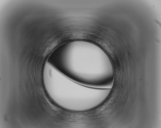 X0000097300489200802151126