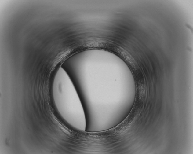 X0000097300490200802151126