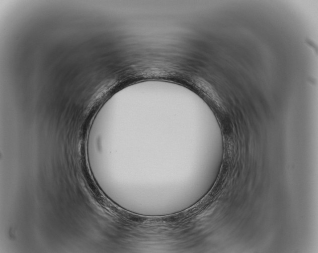 X0000097300491200802151126