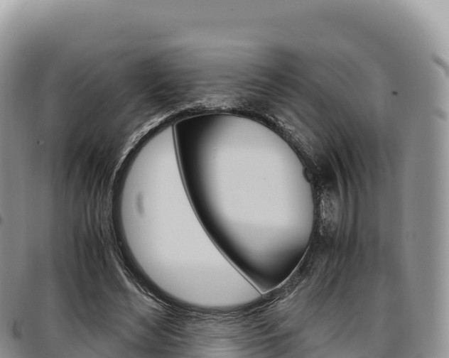 X0000097300492200802151125