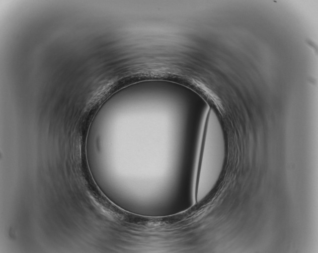 X0000097300493200802151125
