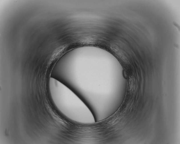 X0000097300494200802151125