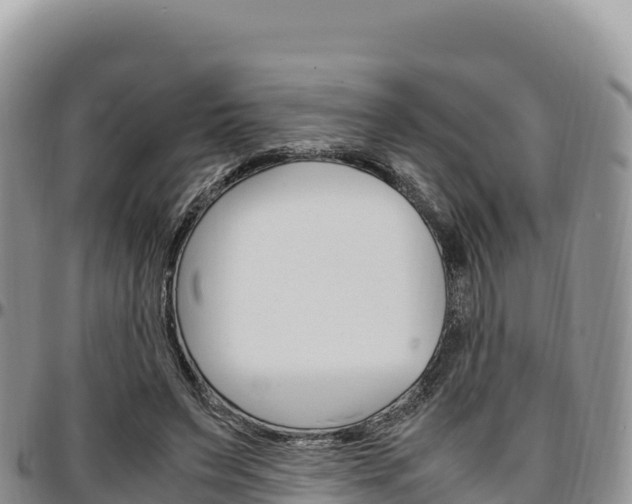 X0000097300495200802151125