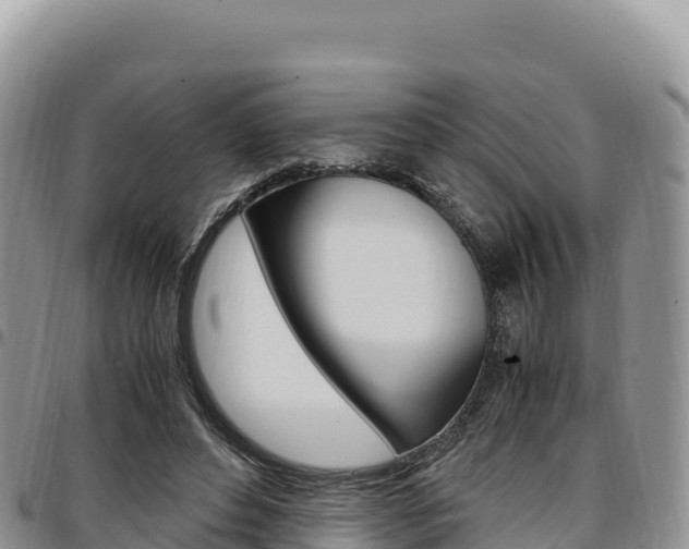 X0000097300496200802151125