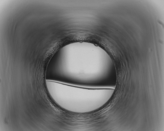 X0000097300497200802151125