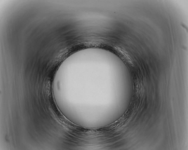 X0000097300498200802151125