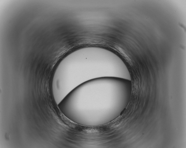 X0000097300500200802151125