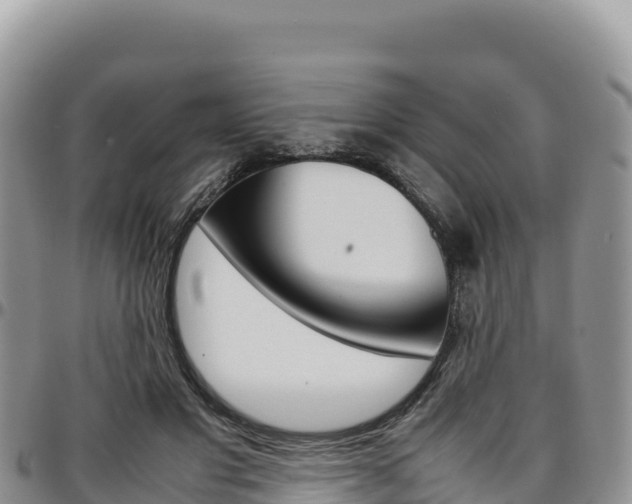 X0000097300501200802151125