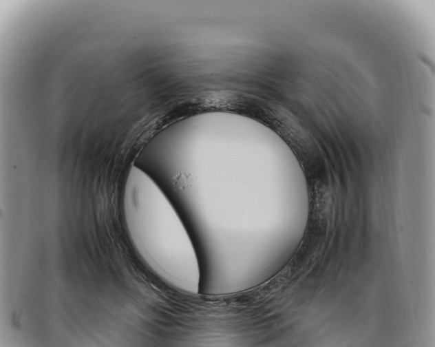 X0000097300502200802151125