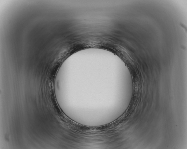 X0000097300503200802151125