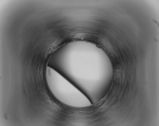X0000097300504200802151125