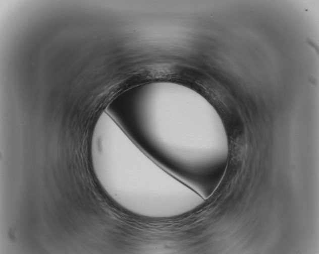 X0000097300505200802151125