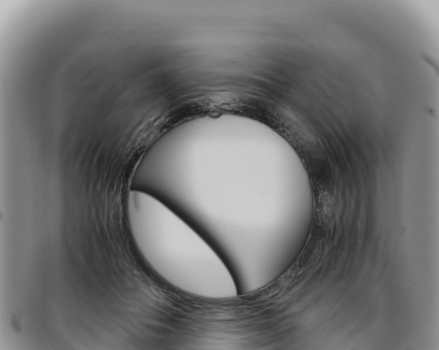 X0000097300506200802151125