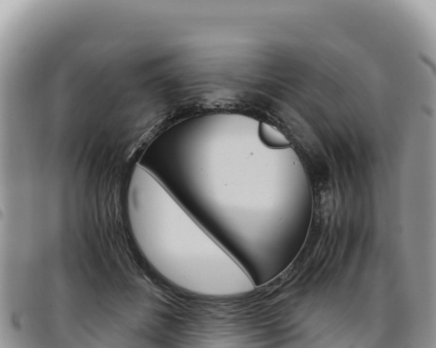 X0000097300508200802151125