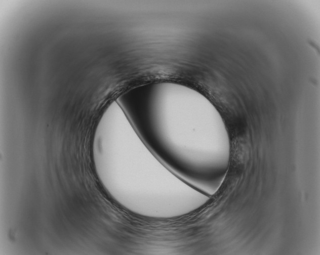 X0000097300509200802151125