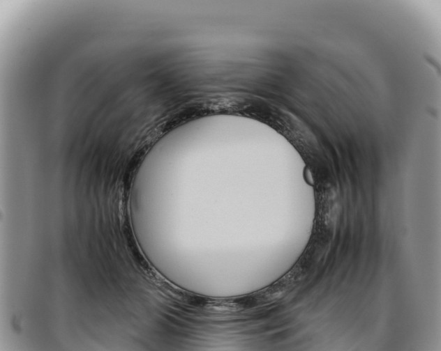 X0000097300510200802151125