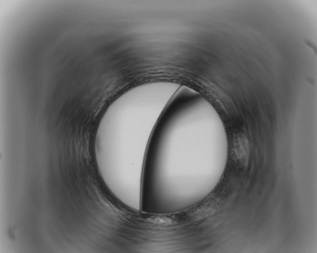 X0000097300512200802151125