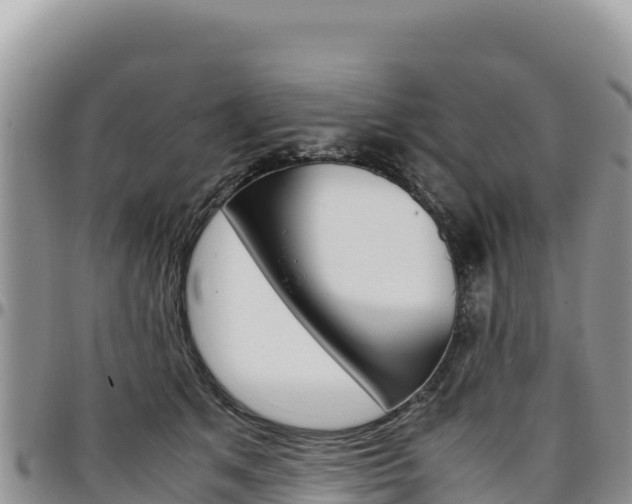 X0000097300513200802151125