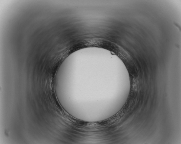 X0000097300514200802151125