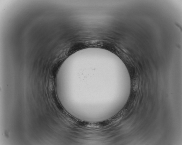 X0000097300515200802151125