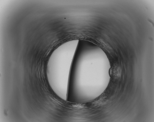 X0000097300516200802151125