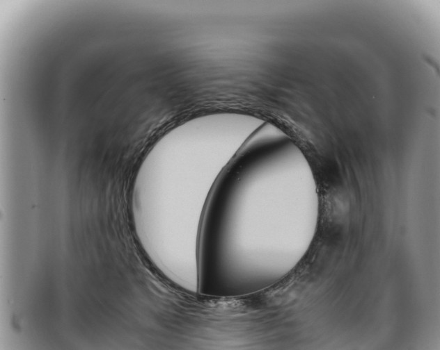 X0000097300517200802151125