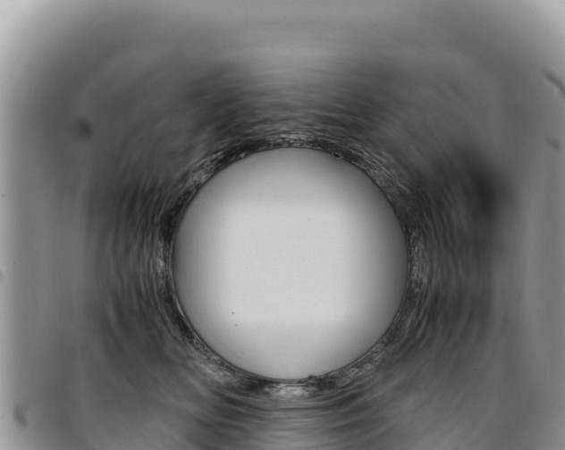 X0000097300518200802151125