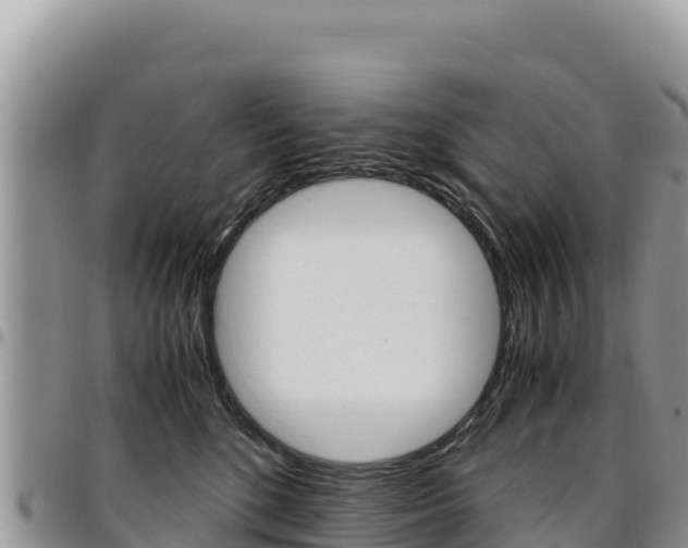 X0000097300520200802151125
