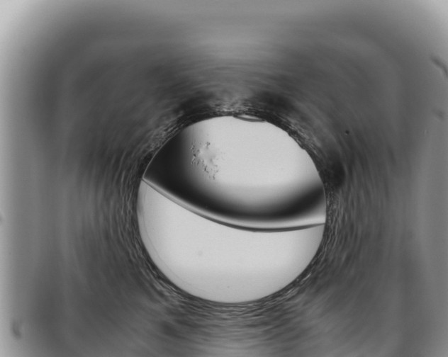 X0000097300521200802151125