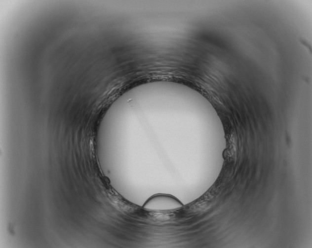 X0000097300522200802151125