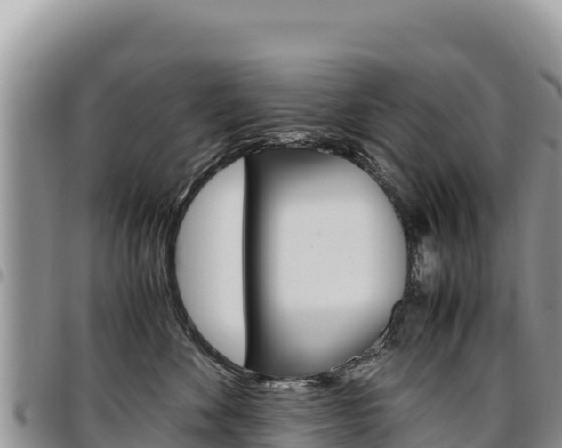 X0000097300524200802151125