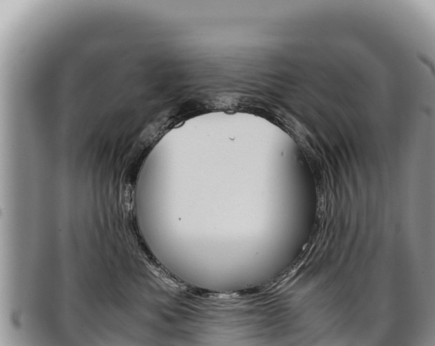 X0000097300525200802151125