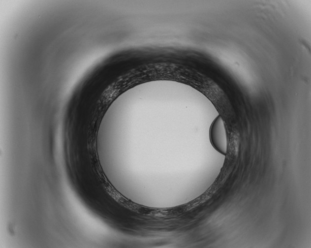 X0000097300526200802151125