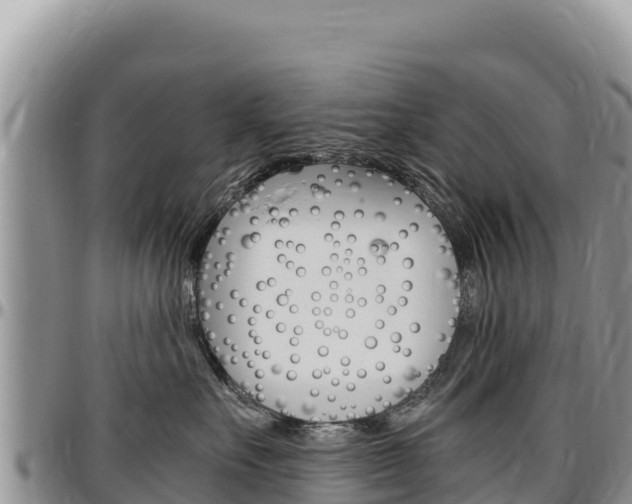 X0000097300527200802151125