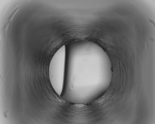 X0000097300528200802151125
