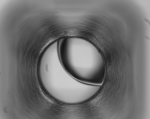 X0000097300530200802151124