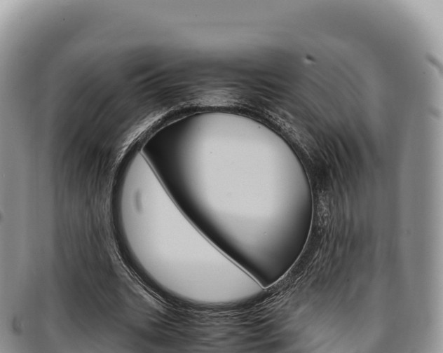 X0000097300535200802151124