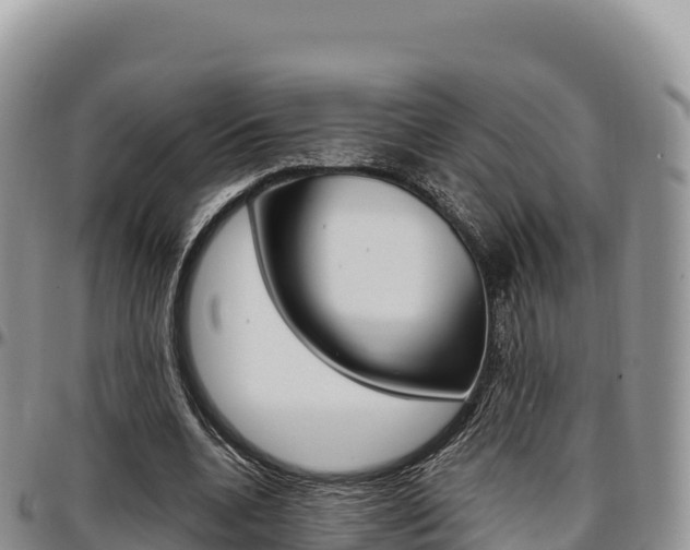 X0000097300536200802151124