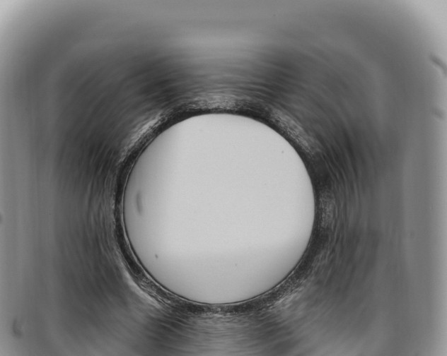 X0000097300538200802151124