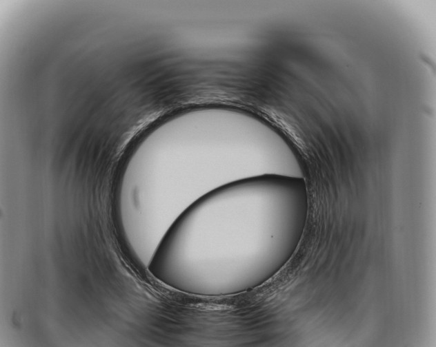 X0000097300539200802151124