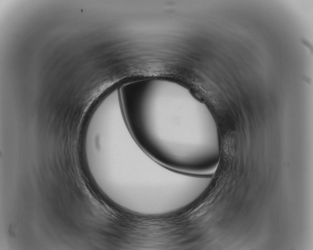 X0000097300540200802151124