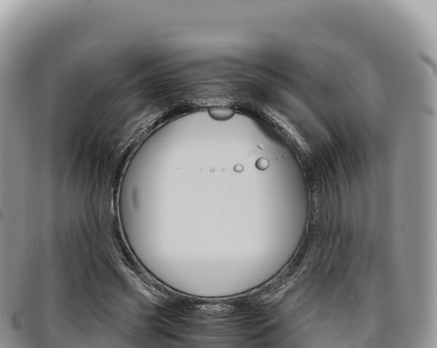 X0000097300541200802151124