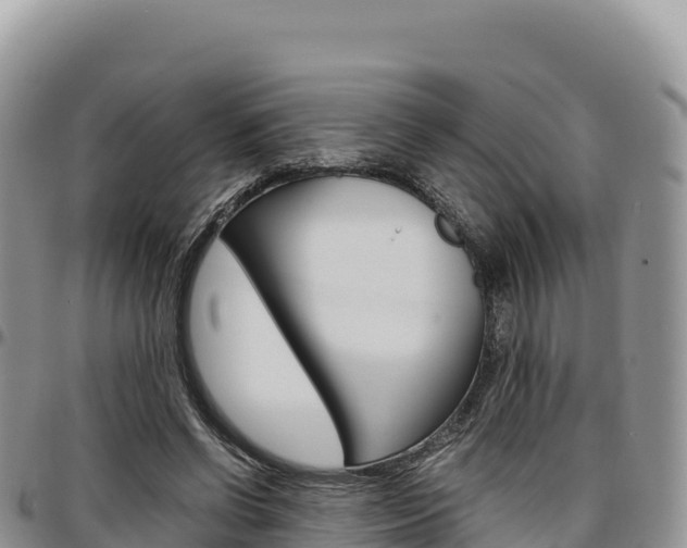 X0000097300542200802151124