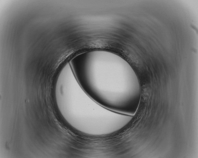 X0000097300544200802151124