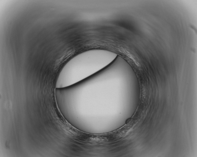 X0000097300545200802151124