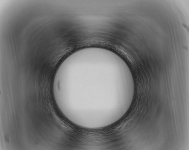 X0000097300546200802151124