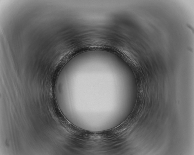 X0000097300547200802151124