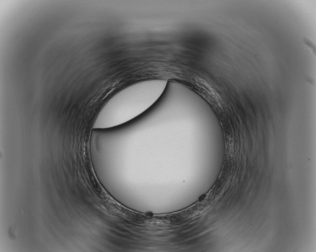 X0000097300549200802151124
