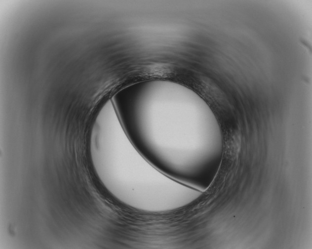 X0000097300552200802151124
